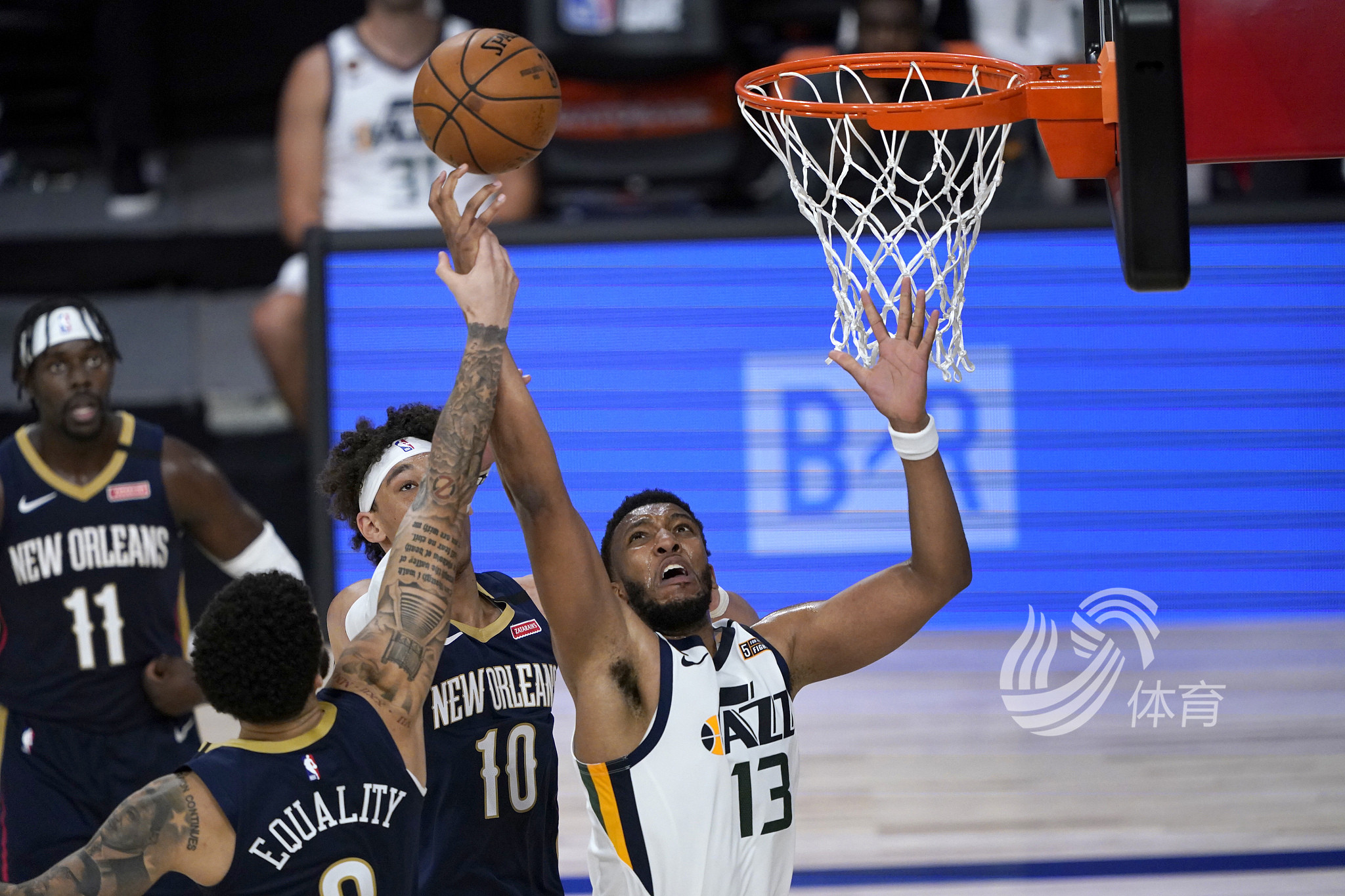 对于新秀的 对于新秀的